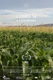 Como Si Estuvieras movie poster