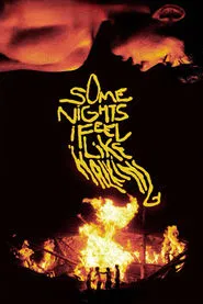 Some Nights I Feel Like Walking movie poster