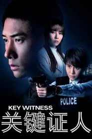 Key Witness tv show poster