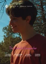 The Fateful Encounter movie poster