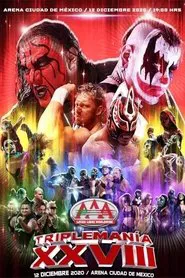 AAA Triplemania XXVIII movie poster