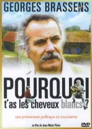 Pourquoi t'as les cheveux blancs... movie poster