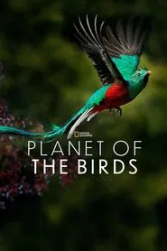 Planet of the Birds movie poster