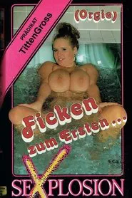 Poster do filme Ficken zum Ersten, zum Zweiten, ...