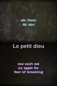 Poster do filme Le petit dieu