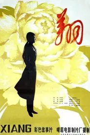 翔 movie poster