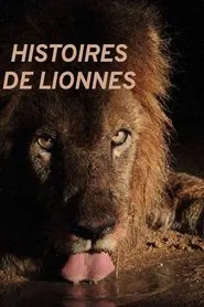 Histoires de lionnes movie poster