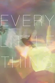 Every Little Thing movie poster
