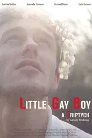Little Gay Boy movie poster