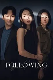 Following movie poster