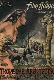 Dangerous Journey movie poster