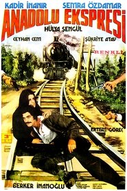 Anadolu Ekspresi movie poster
