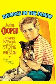 Divorce In The Family movie poster