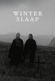 Hibernation movie poster