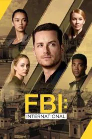 FBI: International tv show poster