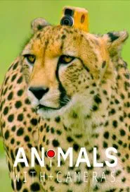 Animals with Cameras tv show poster
