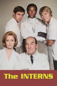 The Interns tv show poster