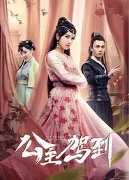 Princess Arrived tv show poster