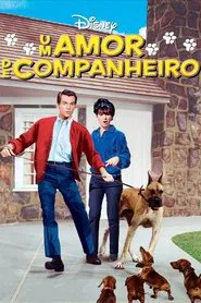 Poster do filme Um Amor de Companheiro