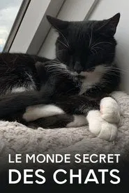 Das geheime Wesen der Katzen movie poster