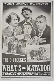 What's the Matador? movie poster