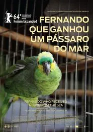 Fernando Who Received a Bird from the Sea movie poster