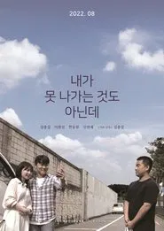 It's not like I can't go out movie poster