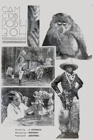 Poster do filme Robinson on His Own