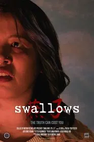 swallows燕子 movie poster
