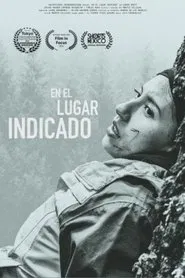 En el lugar indicado movie poster