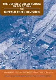 Buffalo Creek Revisited movie poster