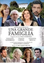 Una grande famiglia tv show poster