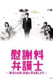 Divorce Chaser tv show poster