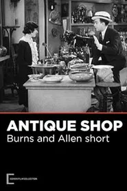 The Antique Shop movie poster