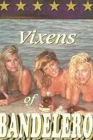 Vixens of Bandelero movie poster