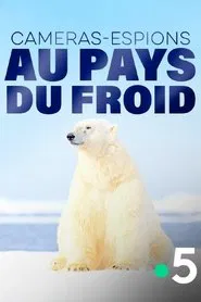 Poster do filme Caméras-espions au pays du froid