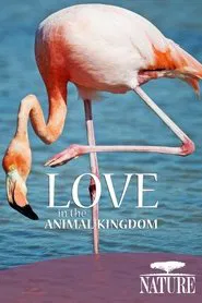 Nature: Love in the Animal Kingdom movie poster