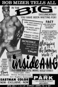 Poster do filme Inside A.M.G.