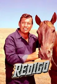 Redigo tv show poster