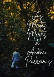 Poster do filme As Muitas Mortes de Antônio Parreiras