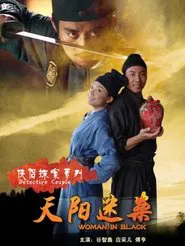 侠侣探案之天阳迷案 movie poster