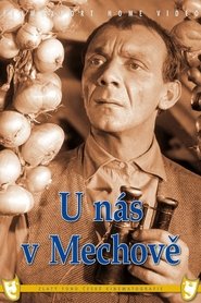 U nás v Mechově movie poster