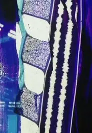 Over&Over movie poster