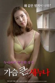 Big Breasts Sister movie poster