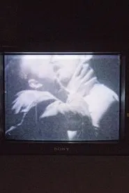 Let's Make Love and LIsten to Death from Above movie poster