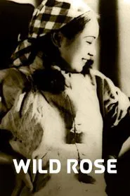 Poster do filme Wild Rose