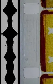 Chant En Couleur movie poster