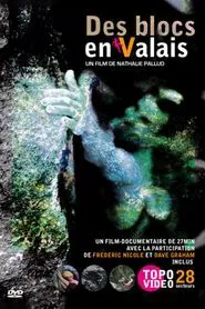Des Blocs En Valais movie poster