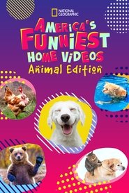 America's Funniest Home Videos: Animal Edition tv show poster