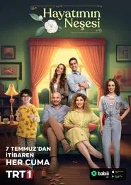 Joy of My Life tv show poster